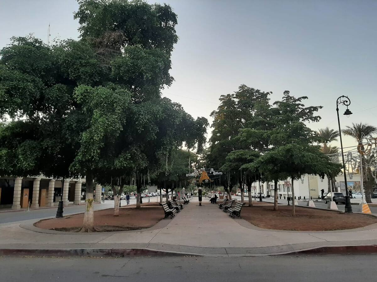 La áreas verdes contribuyen a disminuir los efectos del cambio climatico. / Imagen por Gabriela Rivera P.