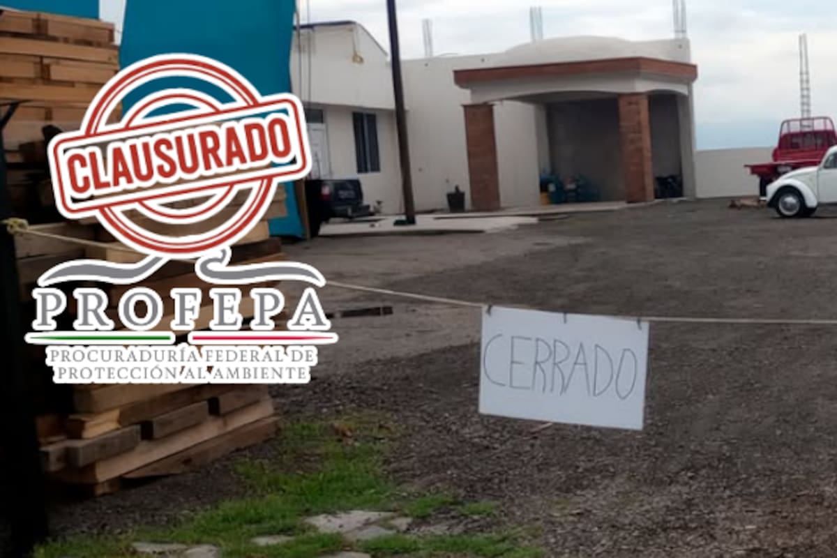 Clausuran maderería fantasma en el Estado de México: operaba sin permiso y ocultaba origen de la madera