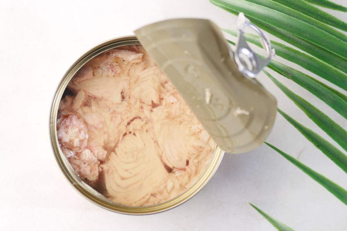 ¿Quiénes no deberían comer atún en lata? Riesgos y recomendaciones