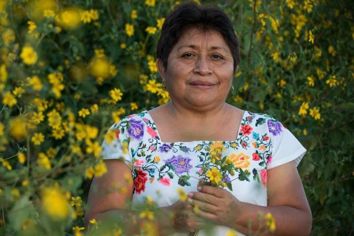 Leydy Pech: mexicana gana el Nobel de Medioambiente como "guardiana de las abejas"
