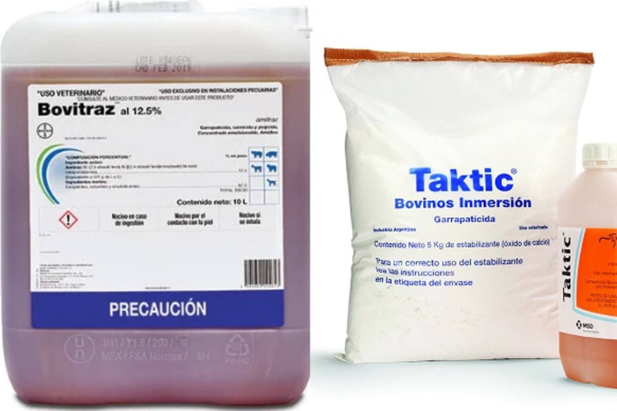 Residente de Calexico se declara culpable por contrabandear pesticidas y medicamentos veterinarios