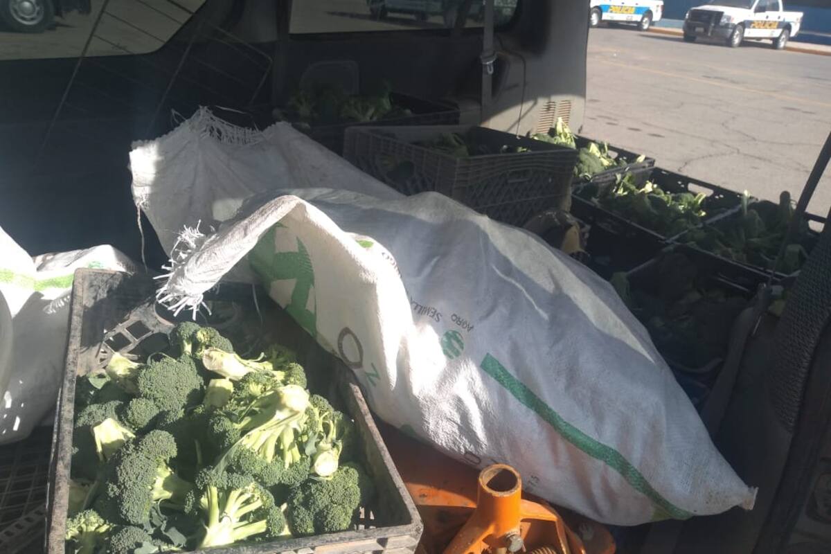 Traía camioneta cargada con brócoli robado en el valle