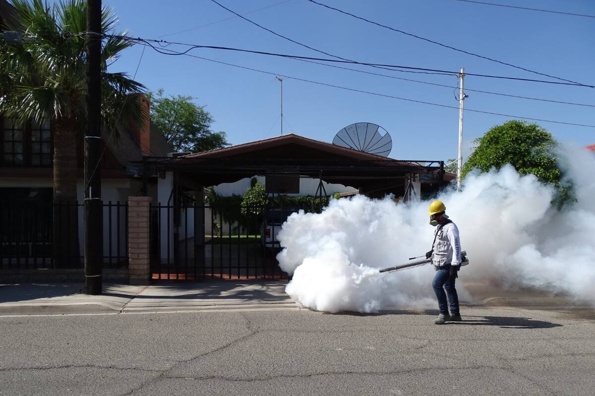Colonias con mayor presencia del mosco trasmisor