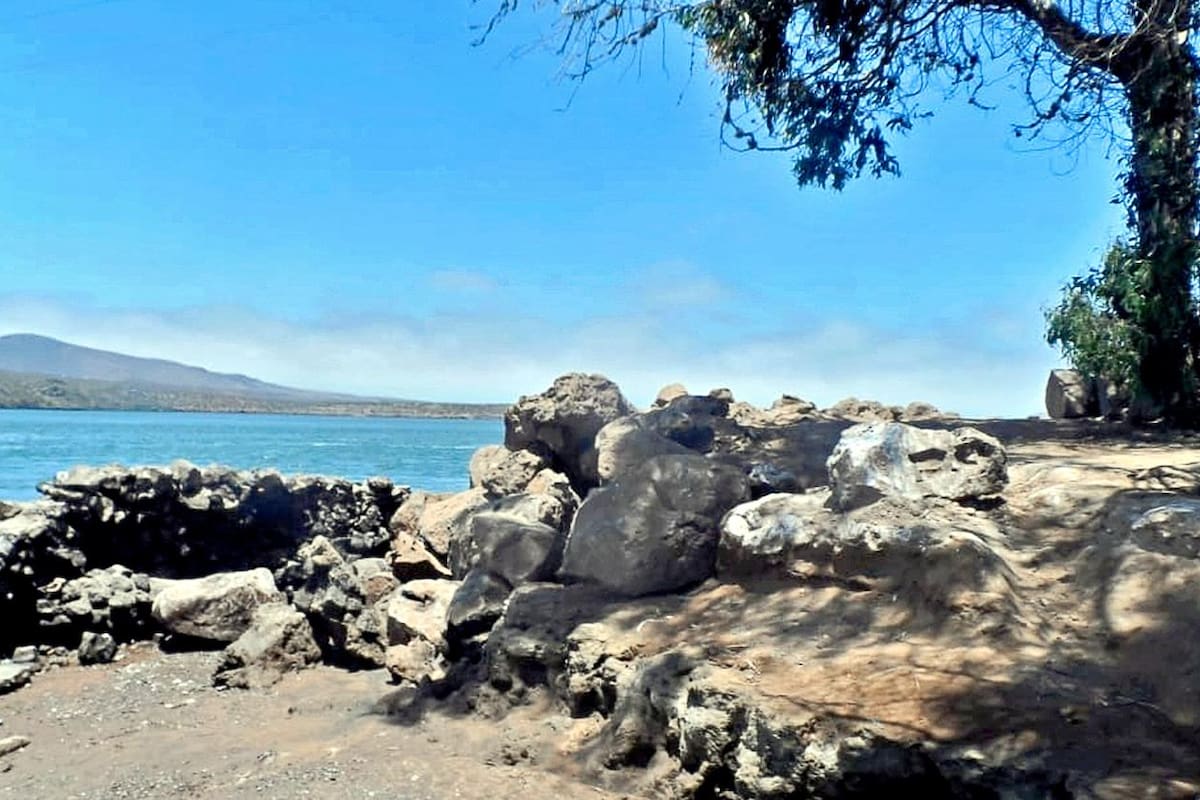 Tiene San Quintín primer conteo como municipio