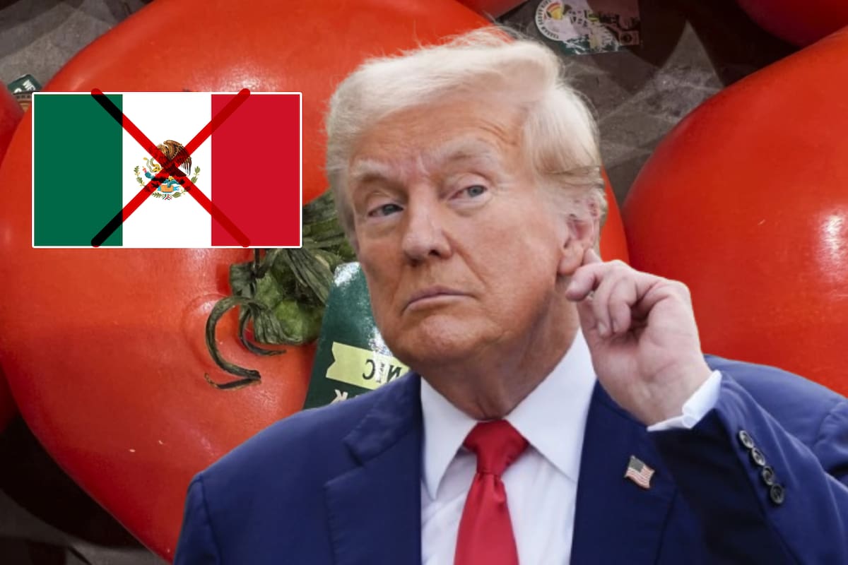 Casa Blanca defiende aranceles contra el tomate mexicano por estos motivos; comparte testimonios de agricultores de EEUU