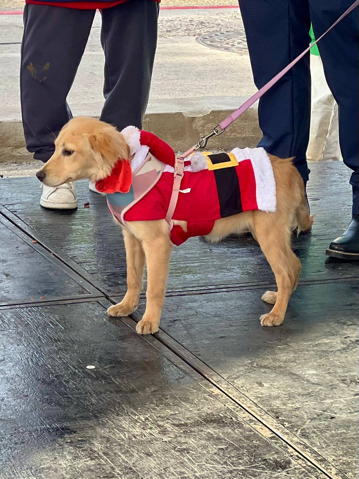 Foto: Leonardo González