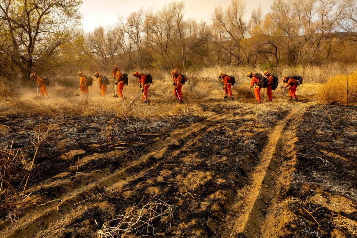 El siniestro denominado “Border 2” inició desde el jueves por la tarde con 10 acres. Foto: Abdiel Ortega