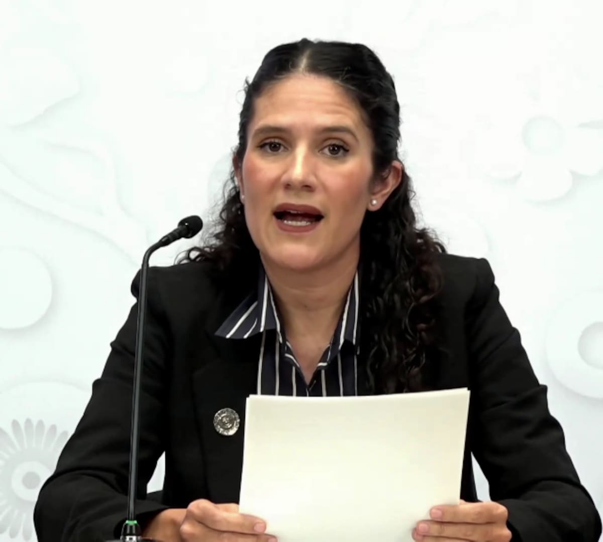 La fiscal capitalina, Bertha Alcalde. | Foto: Captura de pantalla.