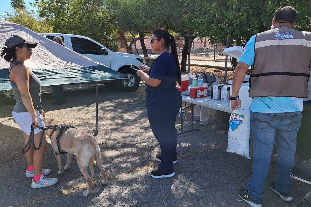 Conmemoran Día Mundial de la Rabia con exitosa campaña de vacunación en Hermosillo