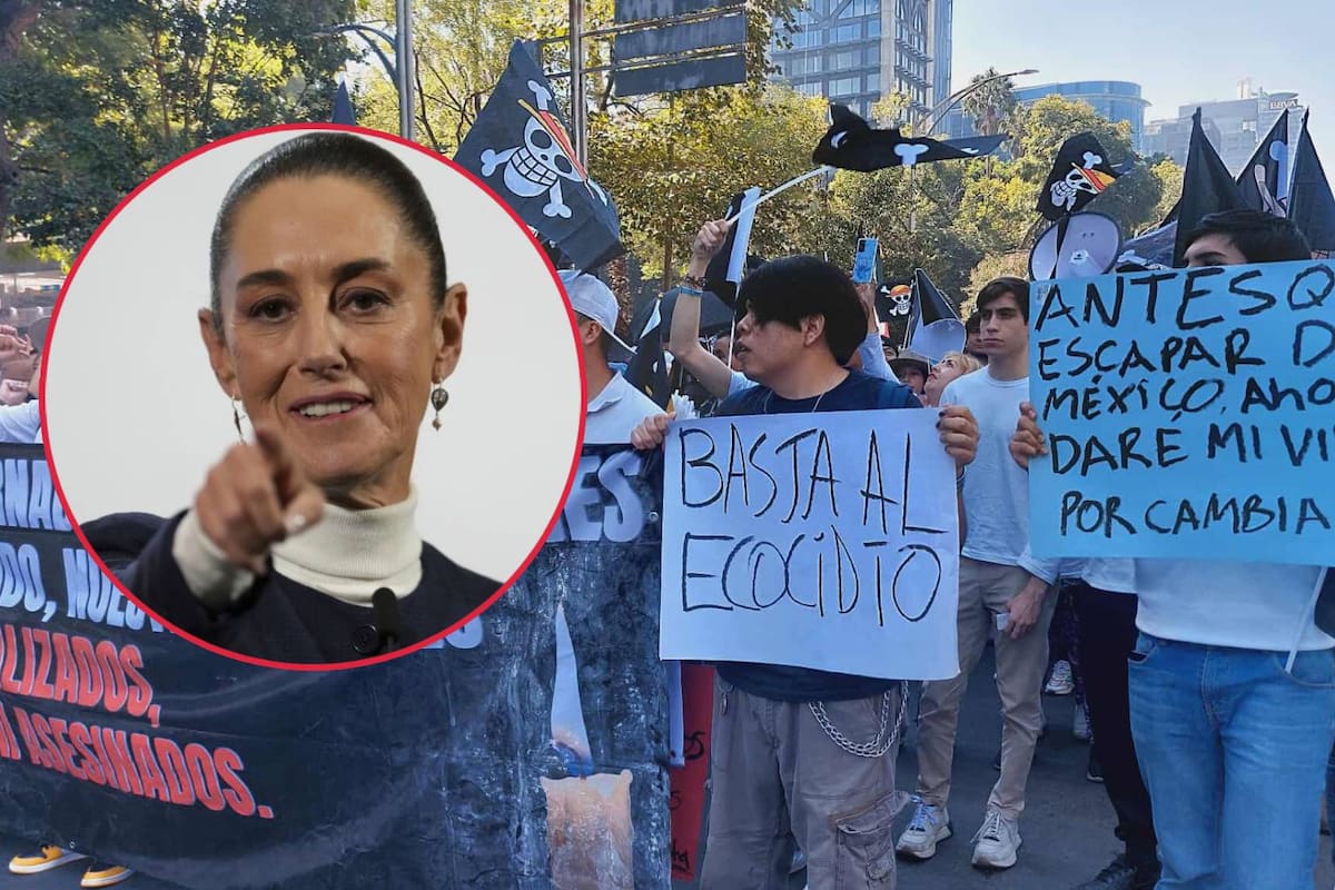 Estas 5 encuestas sobre Claudia Sheinbaum a la Generacion Z arrojan qué tanta aprobación tiene entre este sector de la población mexicano