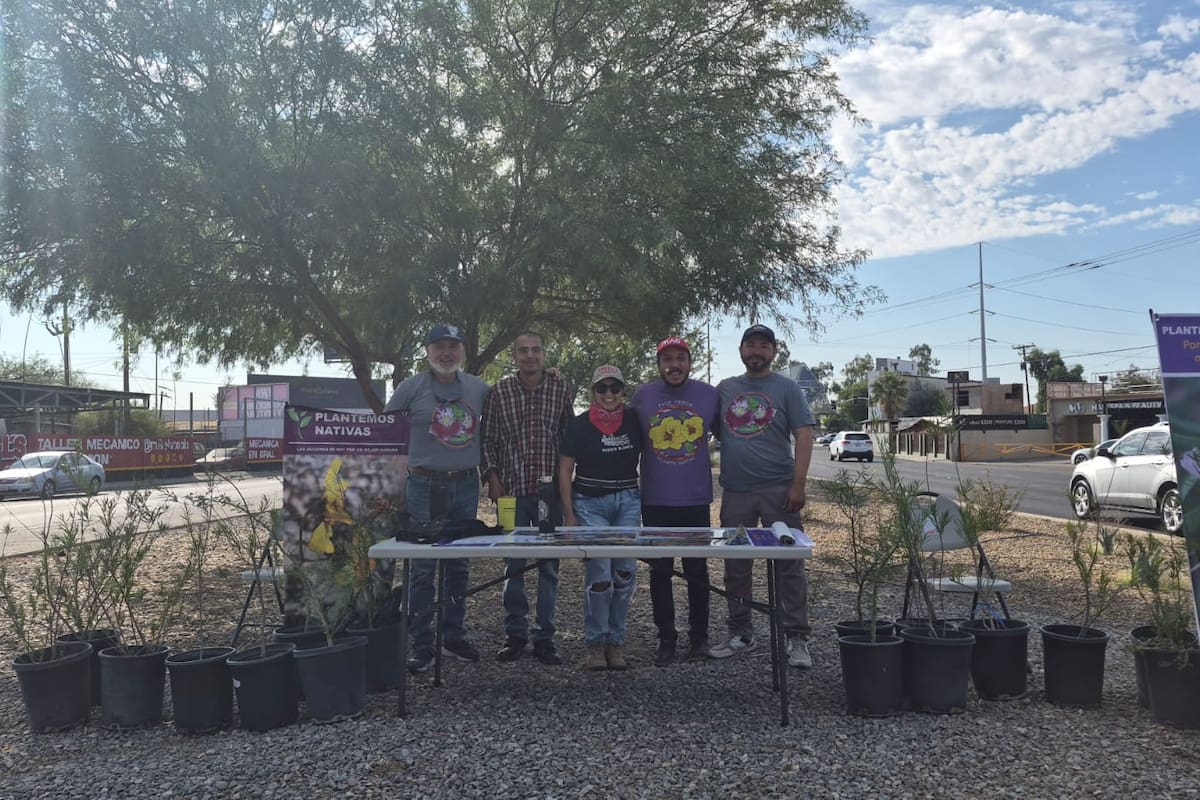 Transforman camellón de Mexicali en muestra de vegetación nativa del desierto; Biomac impulsa un modelo más sostenible