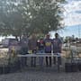 Transforman camellón de Mexicali en muestra de vegetación nativa del desierto; Biomac impulsa un modelo más sostenible