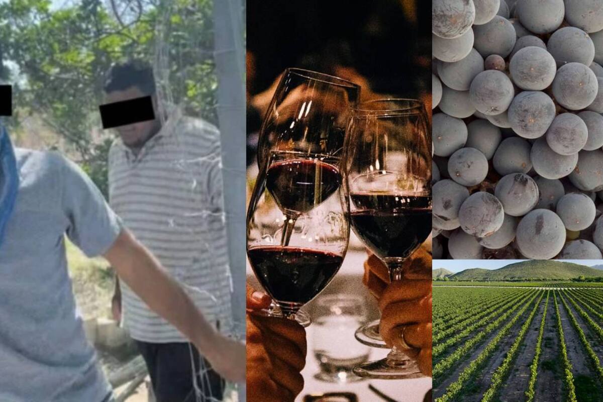 Casa Madero: Hombres armados invaden viñedos en Coahuila