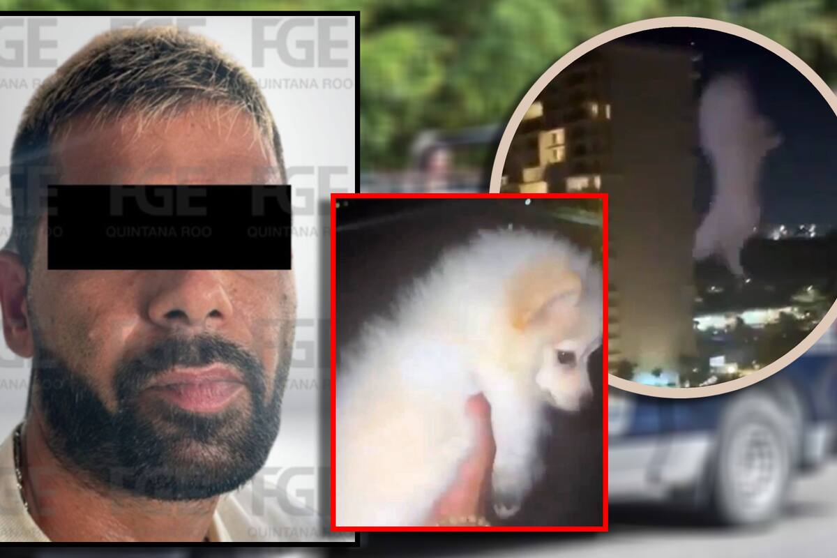 Extranjero iraní se grabó lanzando un perro desde un octavo piso en Cancún; Fiscalía confirma que fue arrestado