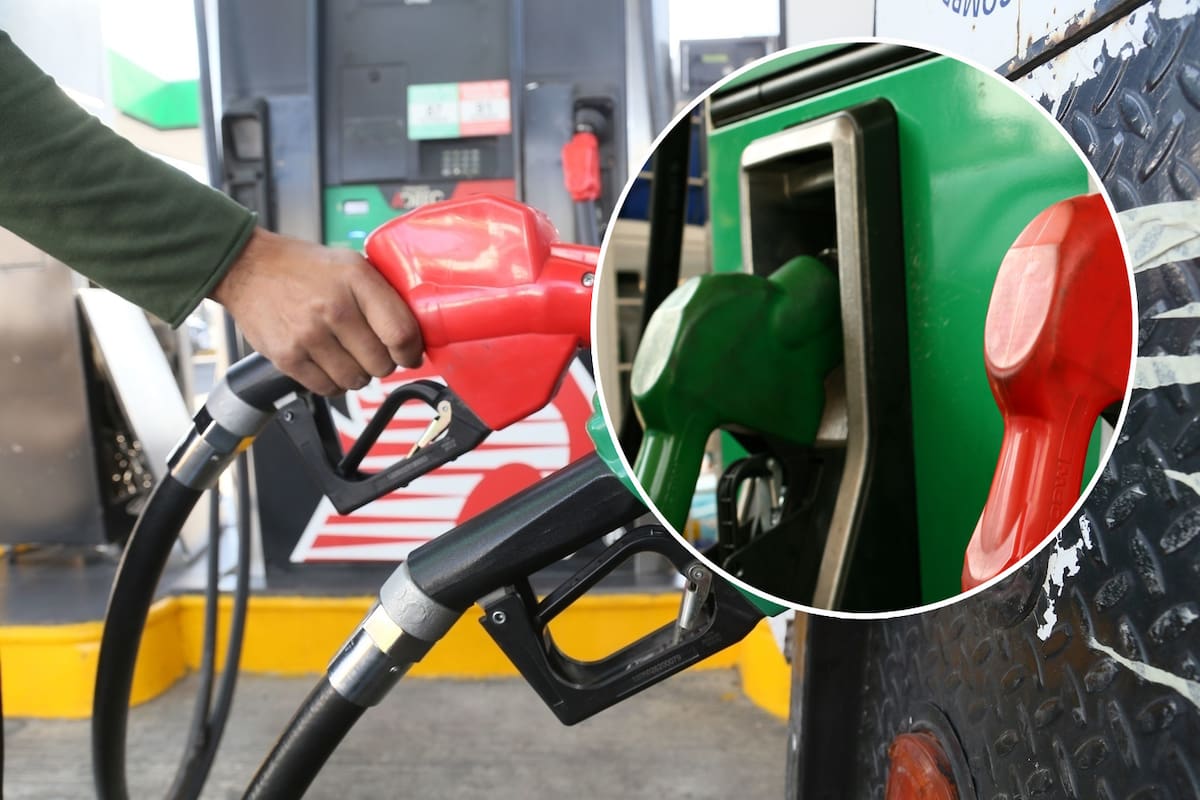 ¿Le pones gasolina regular a tu auto Premium? Este error común puede dañar el motor y hacerte gastar más sin darte cuenta