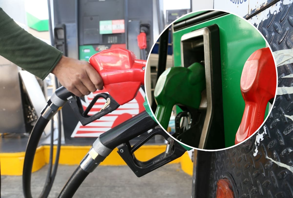 Usar gasolina regular en autos que requieren Premium puede provocar daños, pérdida de potencia y mayor consumo. Experto explica los riesgos y cómo evitar fallas costosas. Foto: Archivo