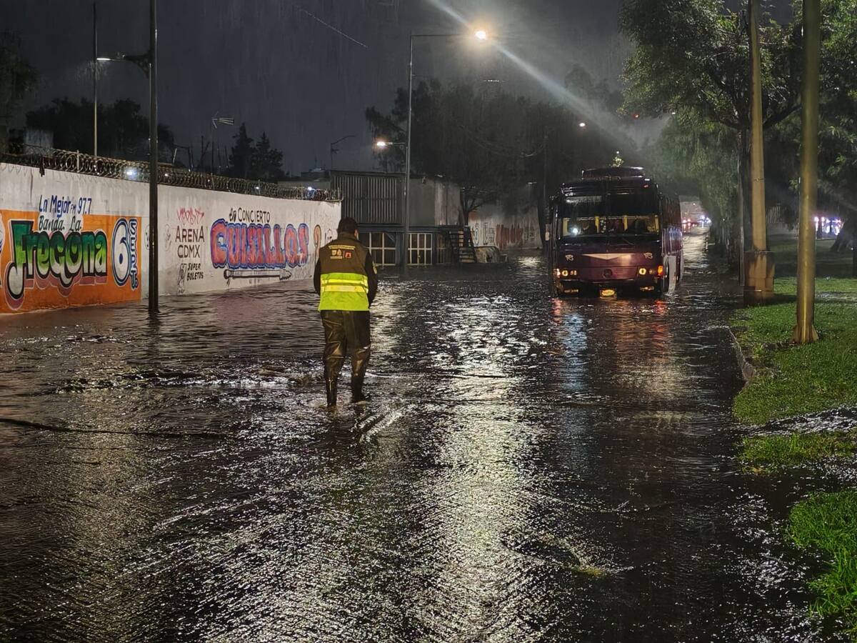 Foto: @SGIRPC_CDMX en X.