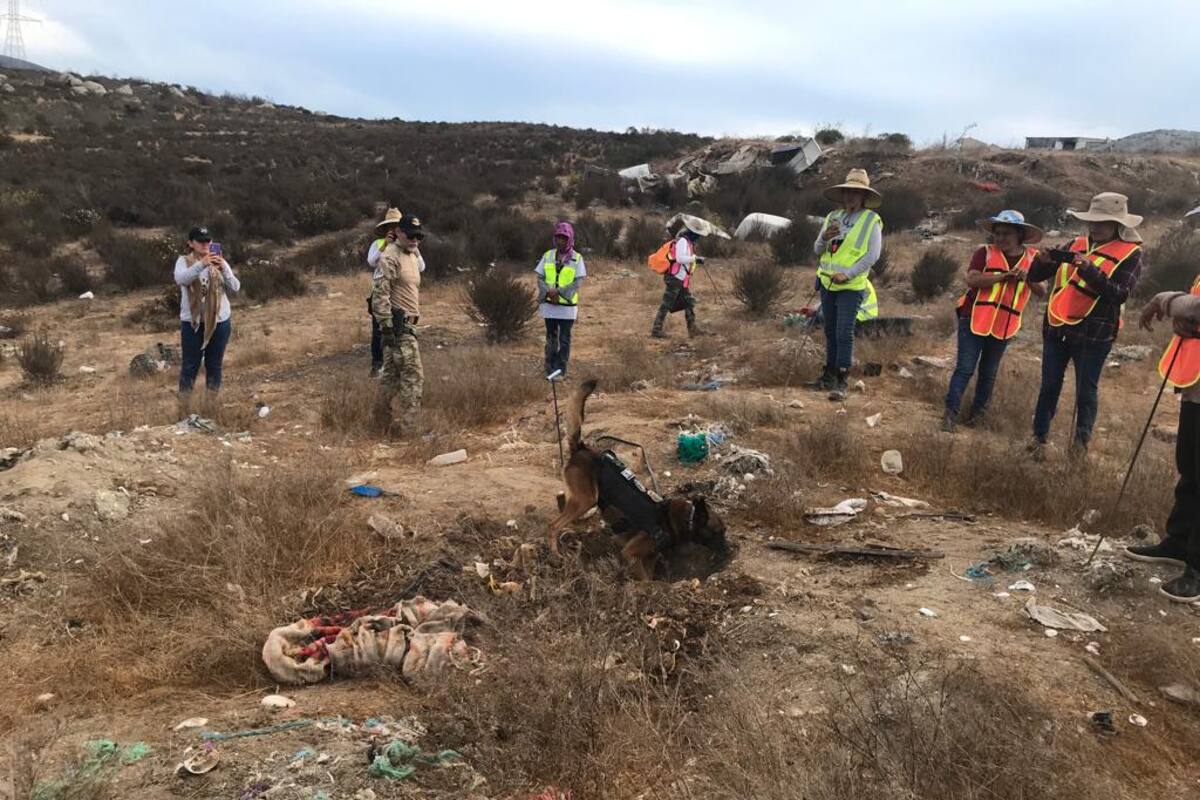 Se realiza búsqueda de 10 días en predios donde se encontró pasaporte de Erick Carrillo