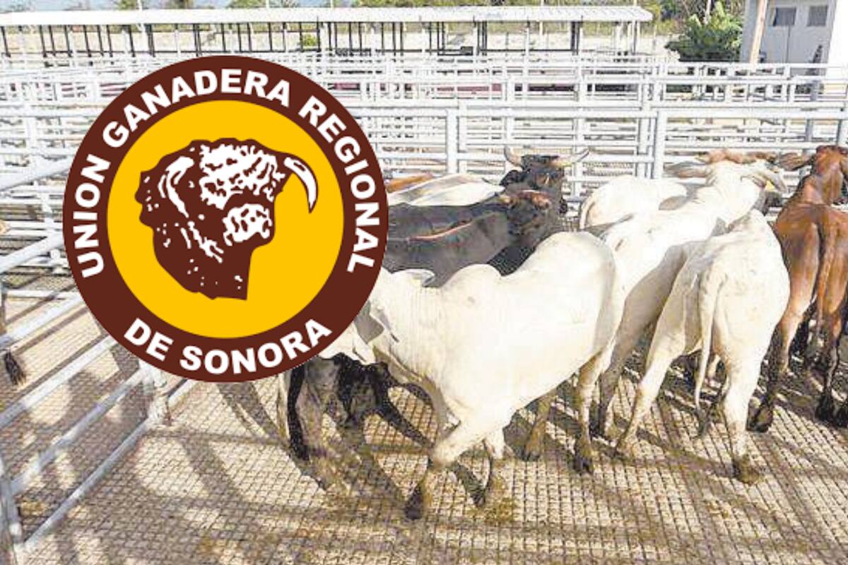 Ya se solucionó la amenaza con cerrar la exportación de ganado a EU, fue un malentendido: UGRS