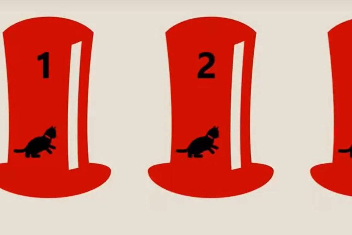 ¿En qué sombrero está el gato?