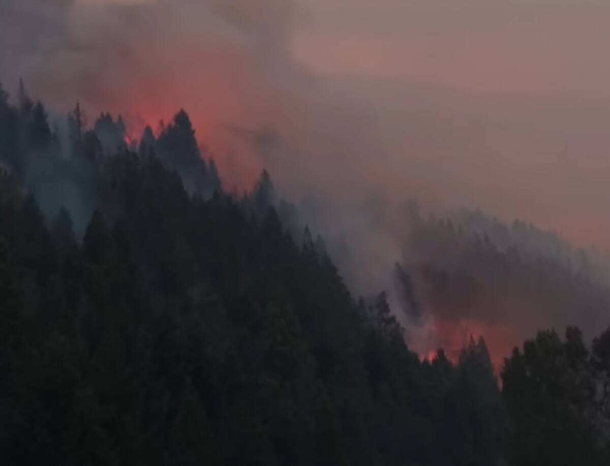 Mega incendio en la patagonia argentina. /  DW Español. - Marcelo Pargmigiani.