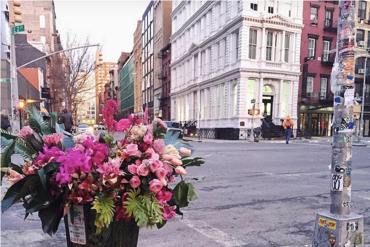 Botes de basura se convierten en floreros en Nueva York