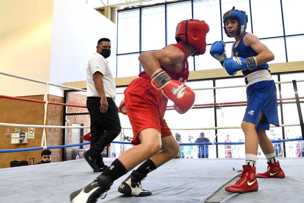 Define Sonora a selección de boxeo tras competencia eliminatoria