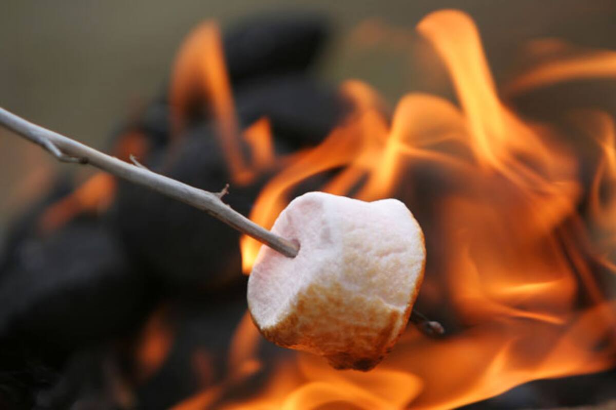 Cinco botanas fáciles para triunfar en tus posadas en casa