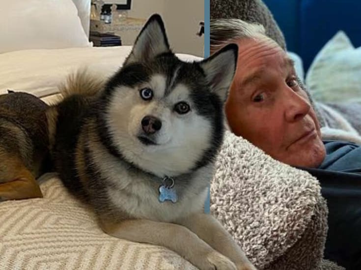 Muere Elvis, el perrito Husky de Ozzy Osbourne, tras casi tres meses de la partida de ‘El Príncipe de las Tinieblas’
