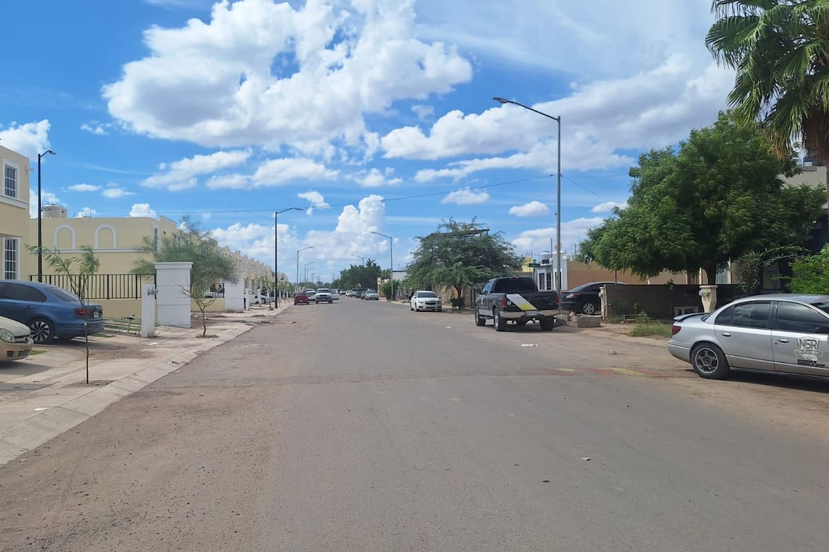 Reportan vecinos presencia de jauría de perros en Urbi Villa Campestre y Praga Residencial