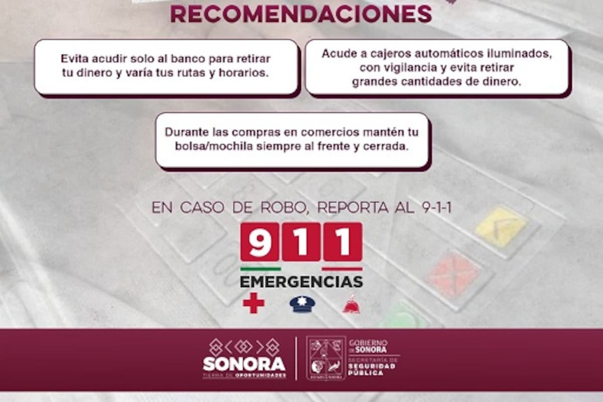 SLRC: Pide SSP prevención contra robos en temporada decembrina