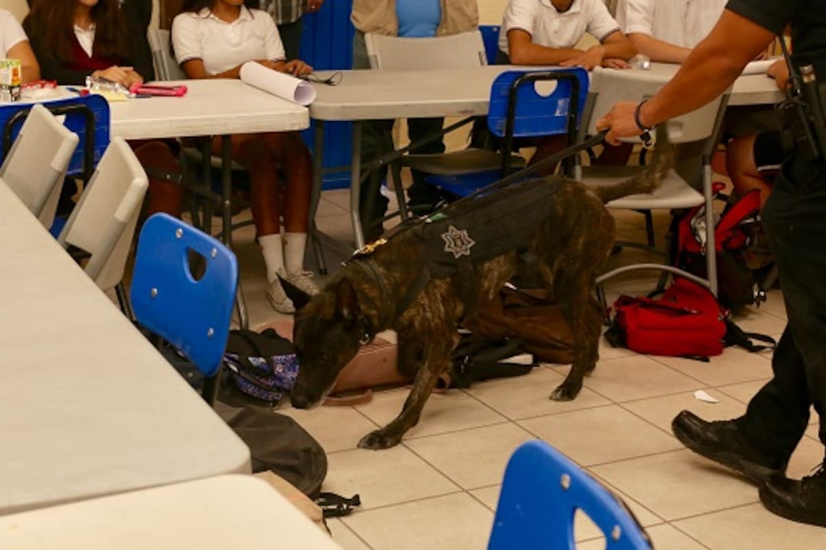 Operativo mochila únicamente podría ser en coordinación con padres de familia: secretario de Educación