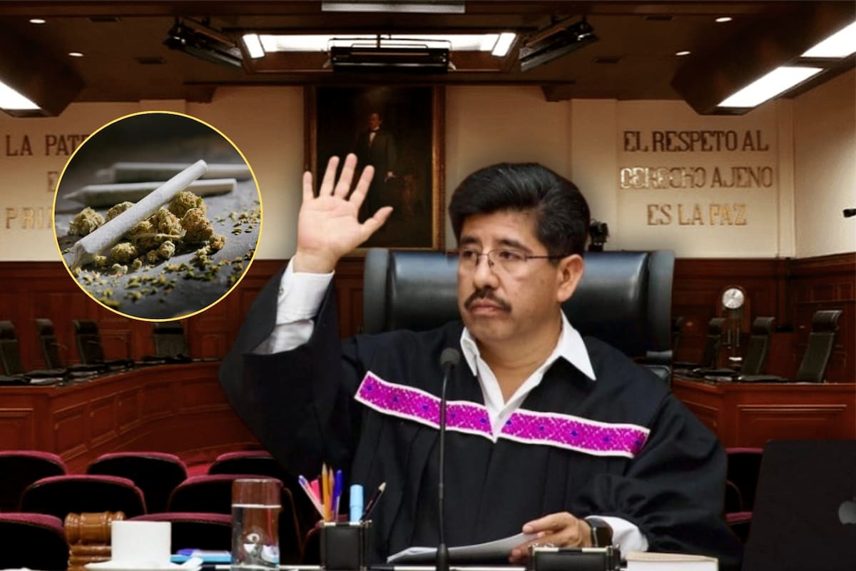 Suprema Corte falló en contra de cambiar el límite de posesión personal de mariguana de 5 gramos por un solo voto: ¿qué resolvió y qué significa para los consumidores?