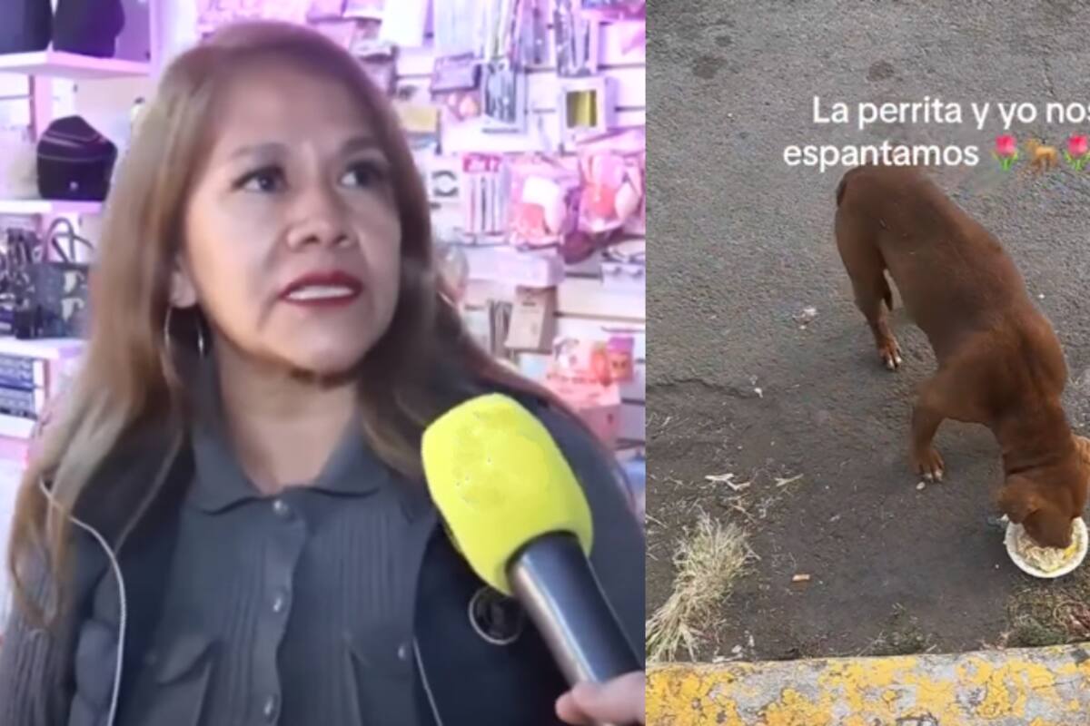 Ella es Olivia: la mujer detrás de la organización “Huellitas Blue” que alimenta a perros callejeros