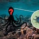 ¿Un pulpo sin tinta y con brazos muy cortos? Esta es la nueva especie descubierta en las profundidades de Galápagos que cambia lo que se sabía de los pulpos antárticos