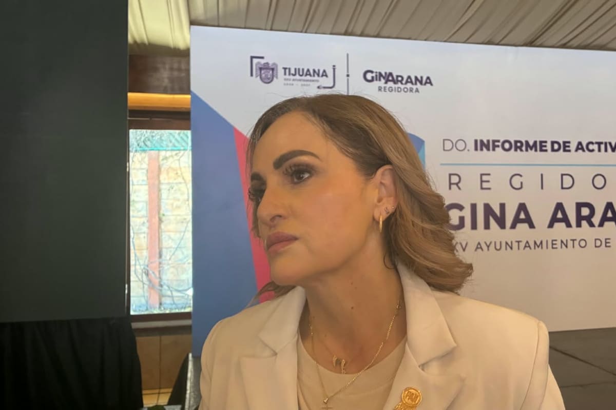Cuestionan retraso en convenio para retirar postes y cables en Tijuana