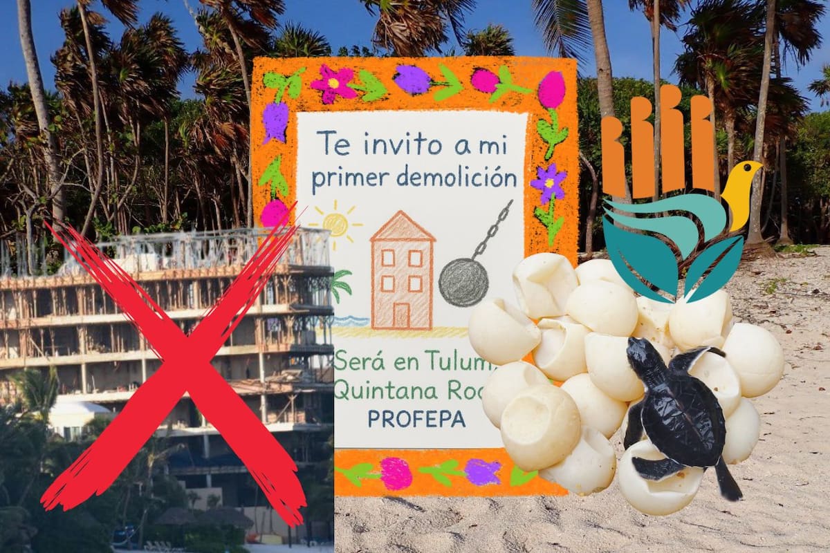 Victoria ambiental en Tulum: Ordenan demoler edificio Adamar Solimán que dañaba santuario de tortugas
