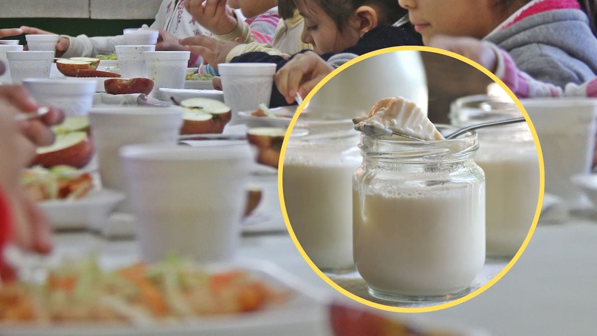 Mientras el gobierno dominicano apuesta por el yogur y la salud digestiva para elevar el rendimiento en 2026, México enfrenta el reto de transitar hacia alimentos naturales en un sistema masivo que hoy depende de productos procesados para llegar a todo el país