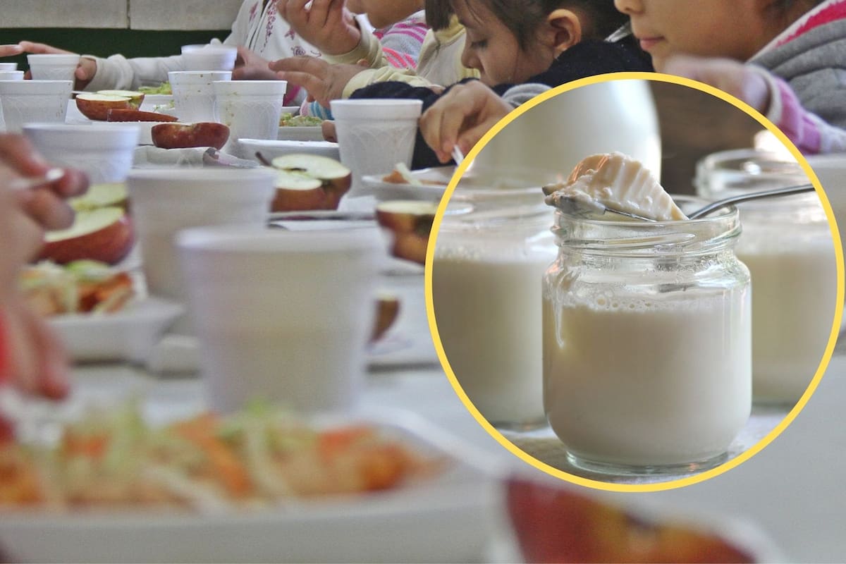 Mientras el gobierno dominicano apuesta por el yogur y la salud digestiva para elevar el rendimiento en 2026, México enfrenta el reto de transitar hacia alimentos naturales en un sistema masivo que hoy depende de productos procesados para llegar a todo el país