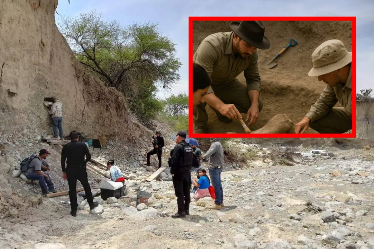 Encuentran en Tamaulipas presuntos restos de mamut