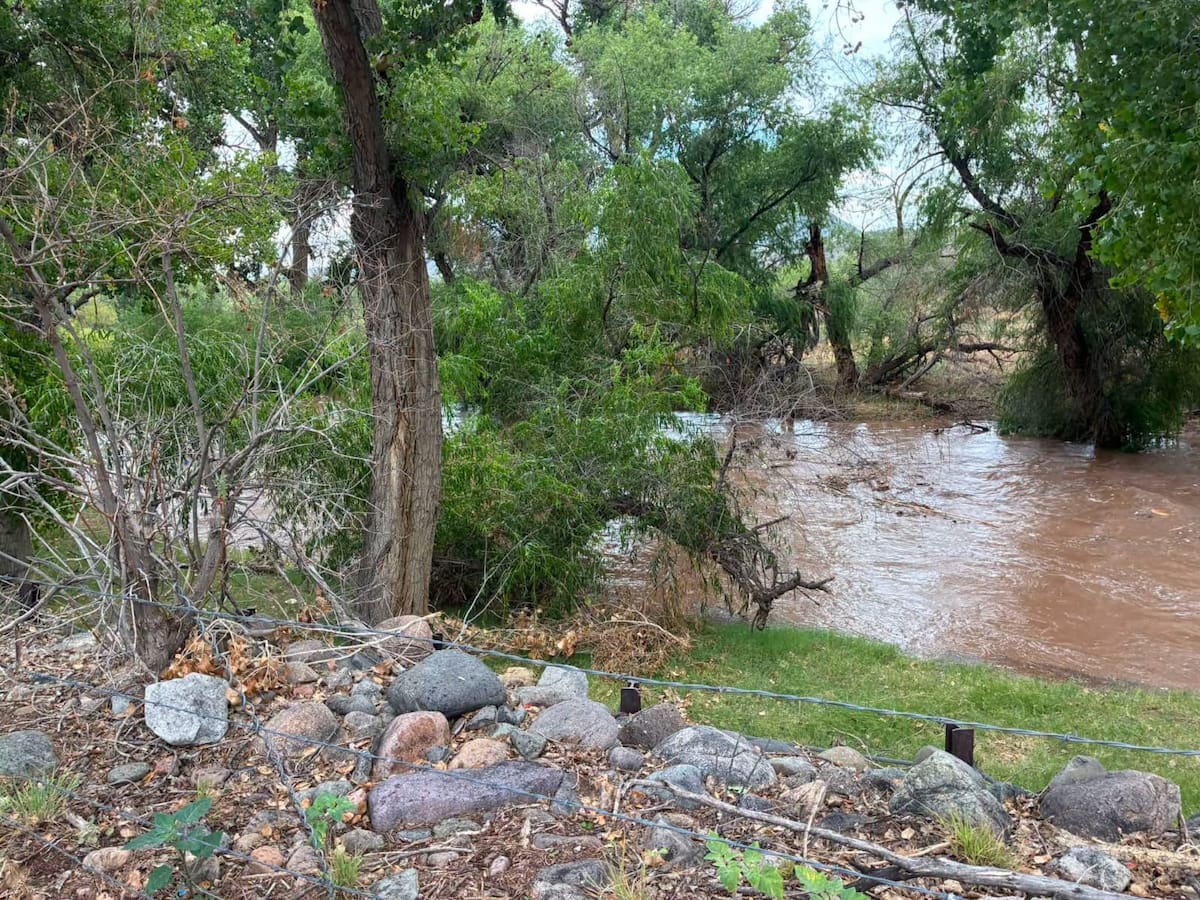 El arroyo de Nogales es recorrido por equipos de emergencia de Sonora y Arizona durante la búsqueda de dos personas arrastradas por la corriente. FOTO: CORTESÍA