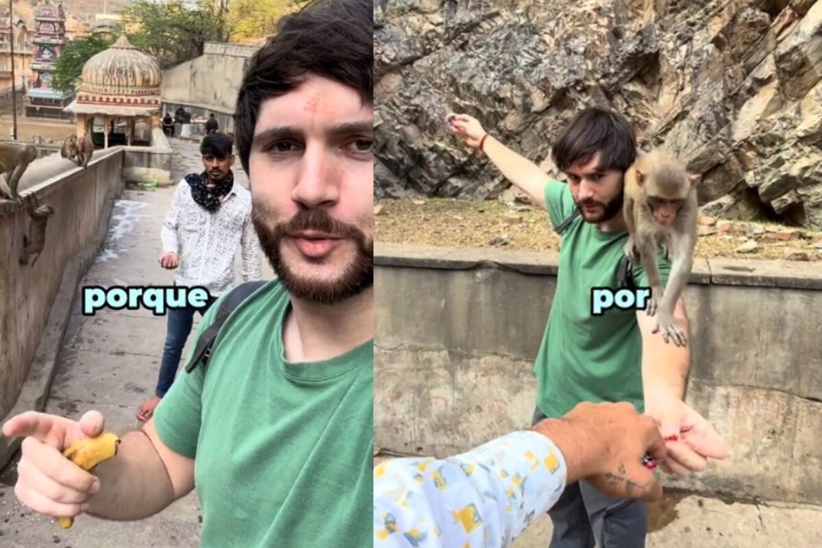 Turista denuncia estafa en el famoso Templo de los Monos en la India