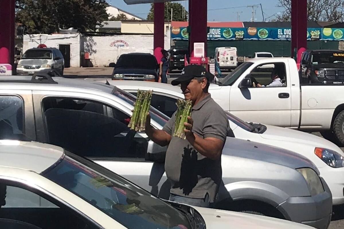 Vendedores de cruceros retan al calor y la pandemia de Covid-19