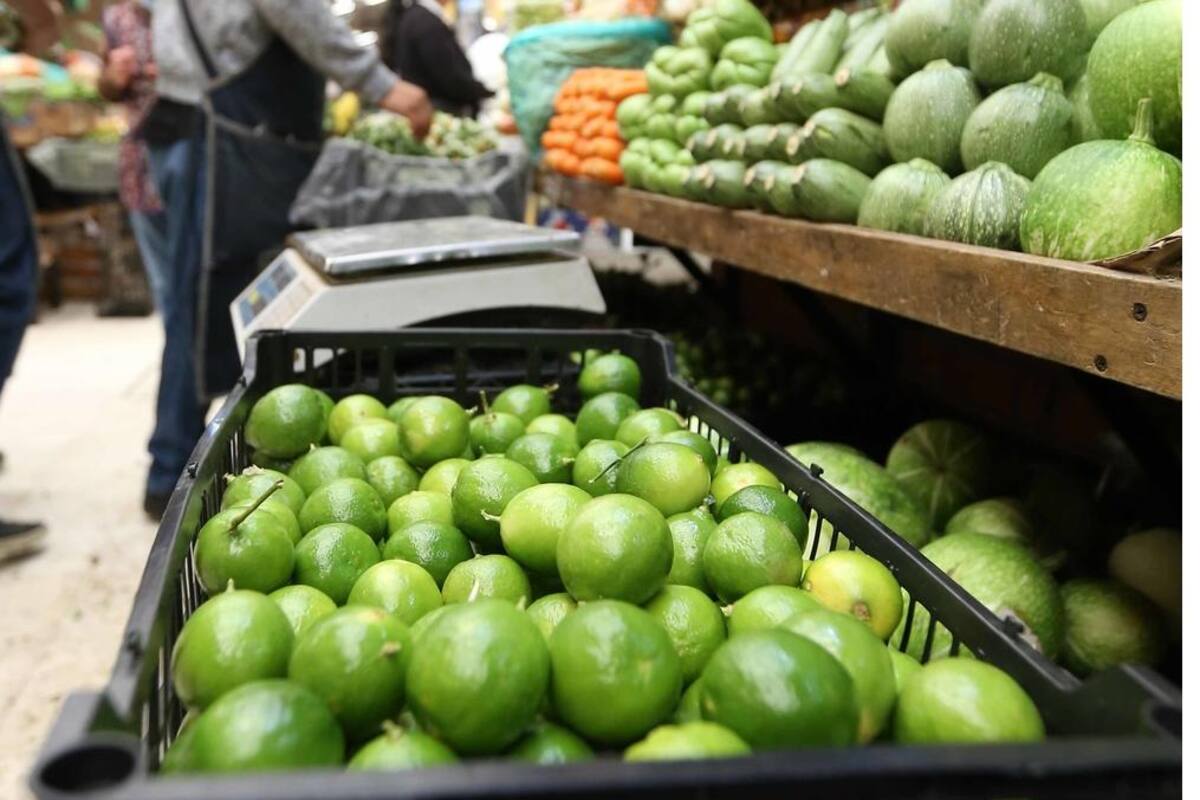 Economía en México: Criminales encarecen el precio del limón, señalan