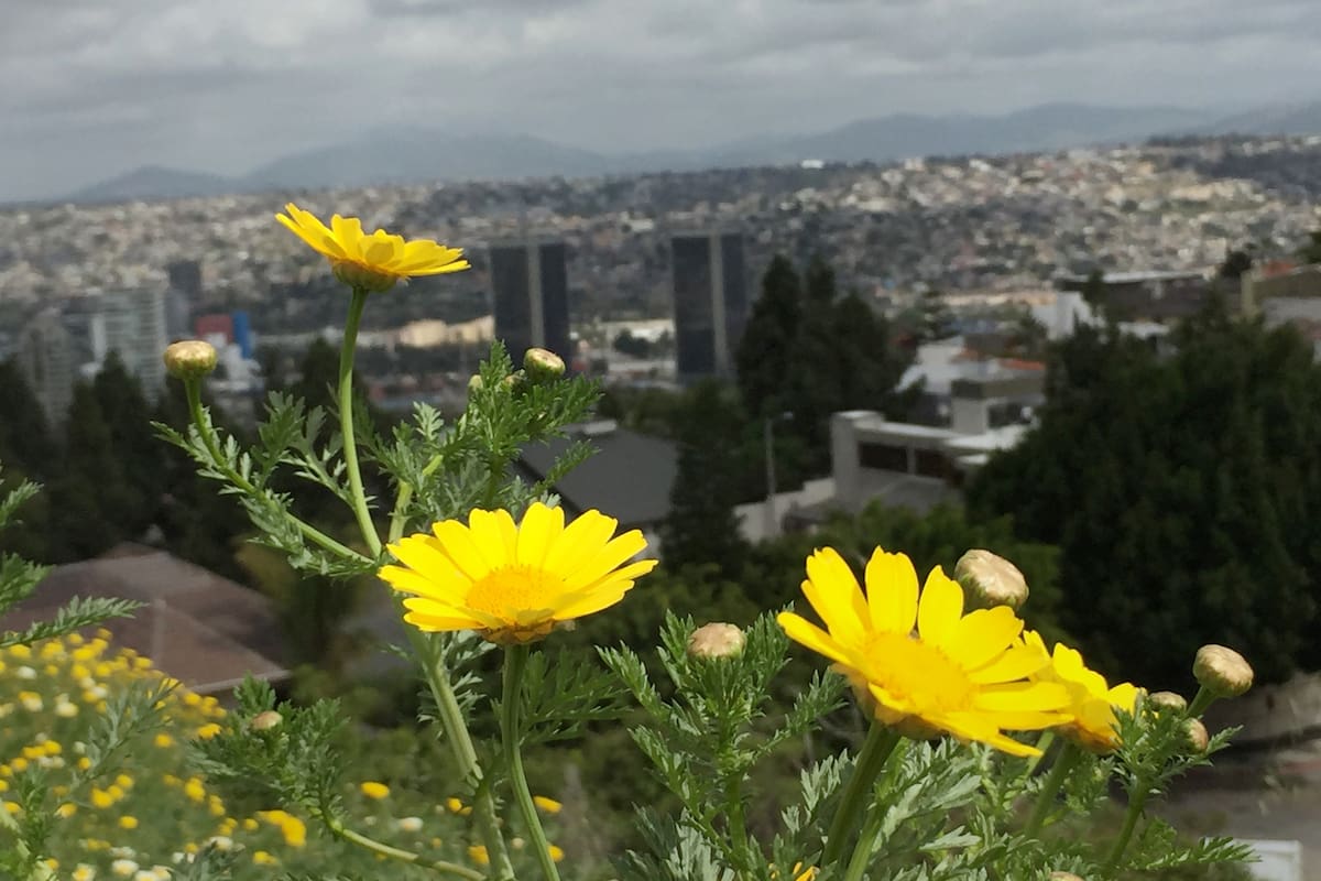 Clima Tijuana: Aumentará ligeramente la temperatura el fin de semana