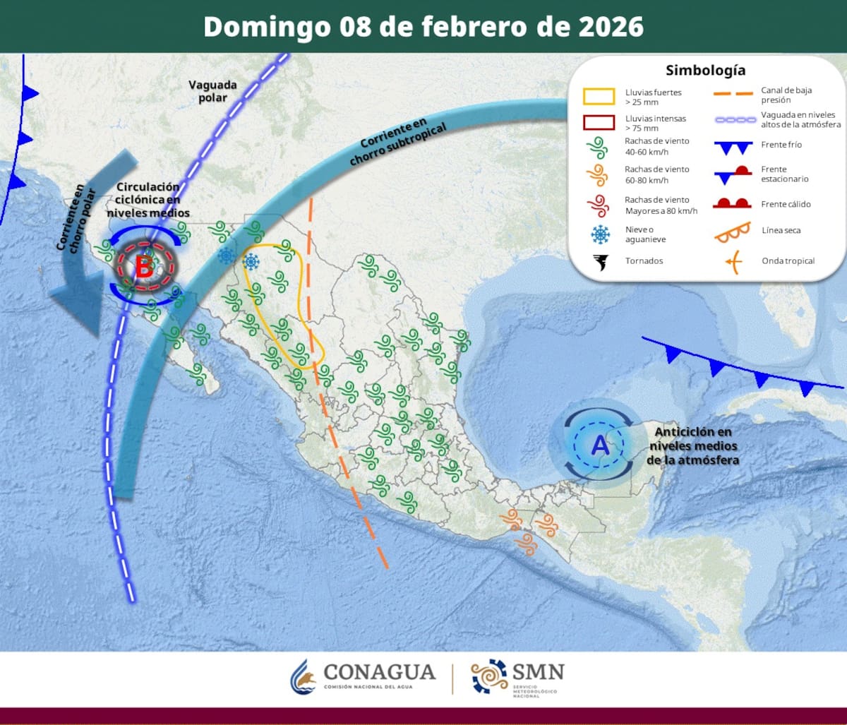 Pronóstico del clima para el domingo 8 de febrero del 2026. | Crédito: SMN