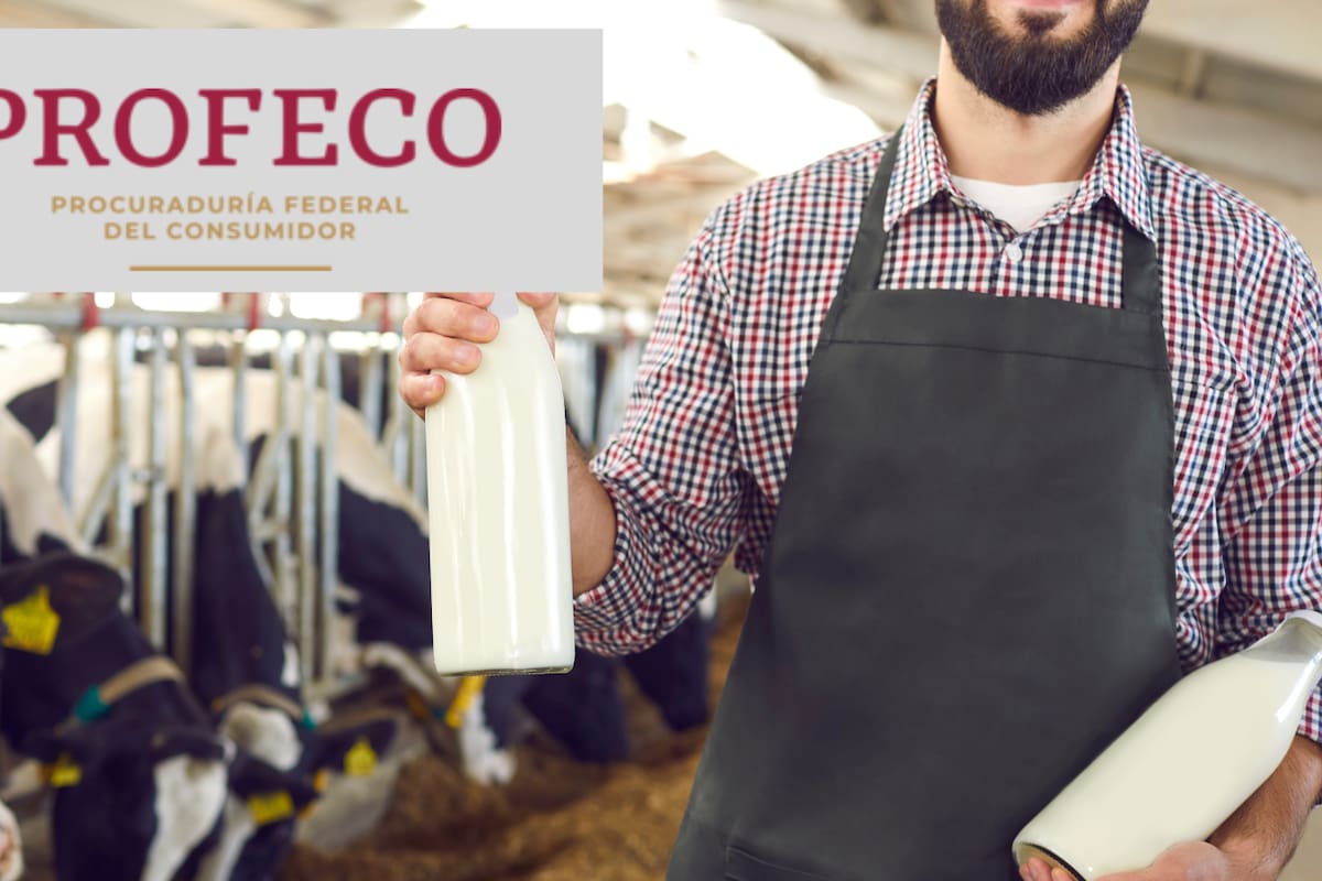 Profeco advierte sobre productos que parecen leche, pero no lo son