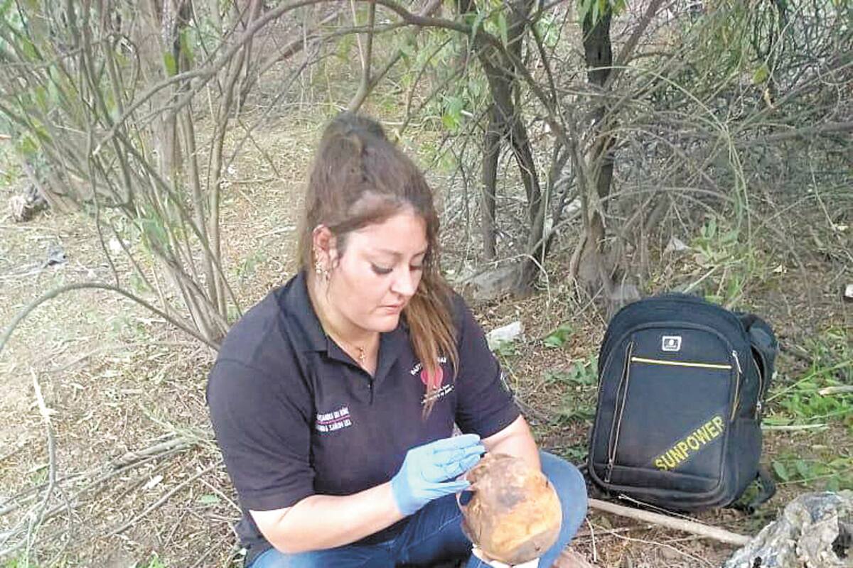 Limpiar cada hueso de una hija desaparecida