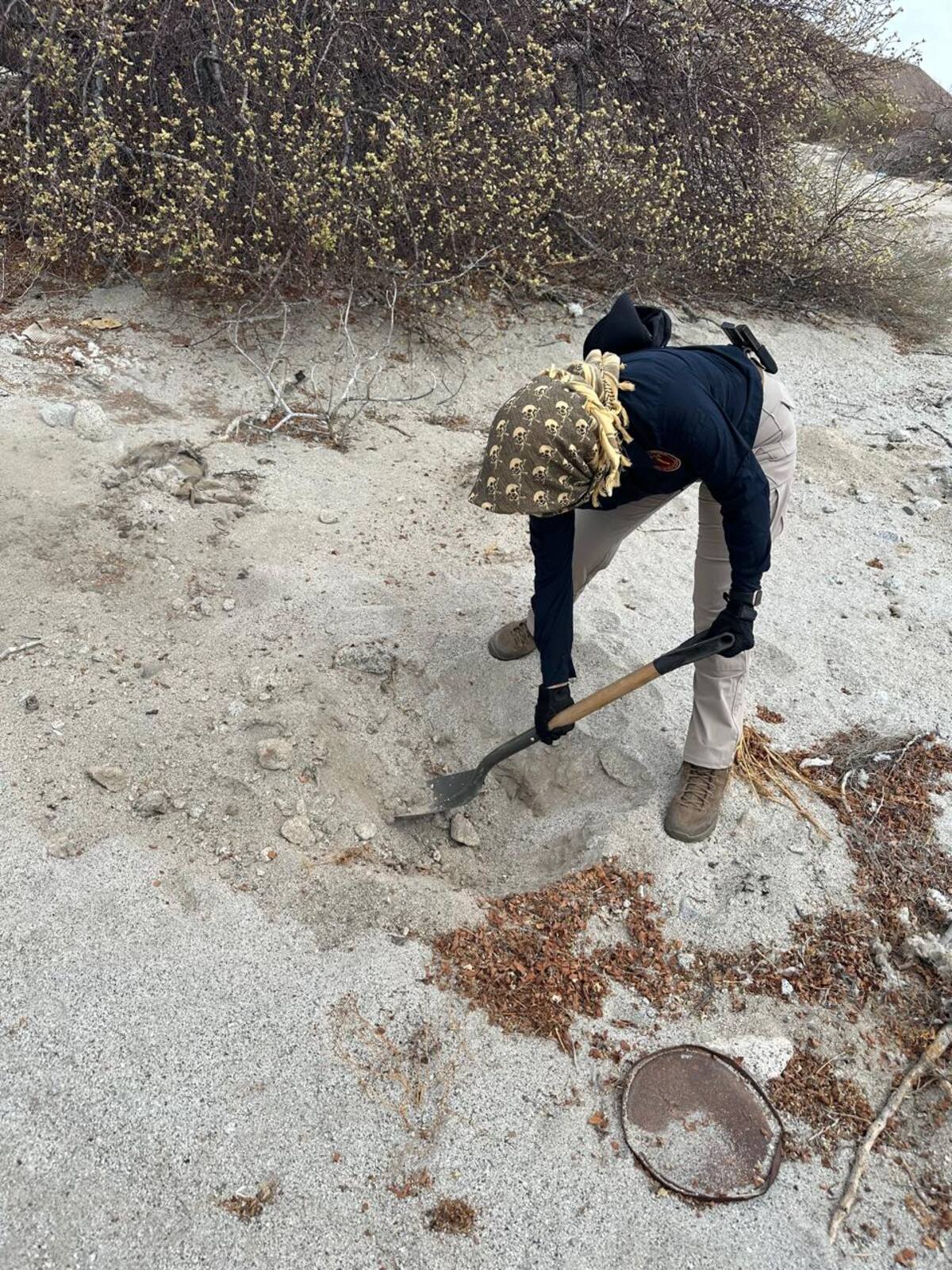 Los restos serán analizados por el Servicio Médico Forense para tratar de obtener muestras de ADN a fin de lograr su identificación. Foto: Cortesía