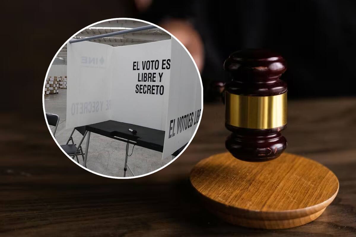 Recorte del INE a elección judicial divide a consejeros; Taddei busca ampliar el presupuesto